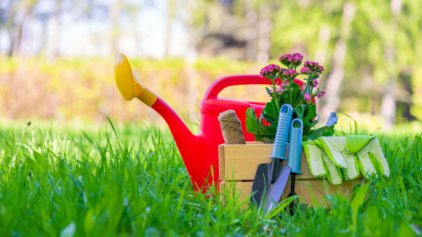 A close-up shot of a small composition of gardening tools and equipment, placed on a grassy area, showcasing february garden checklist