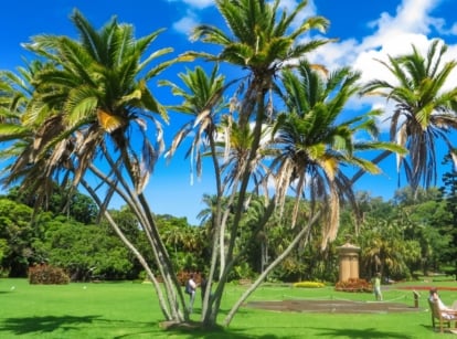 A close-up shot of a small composition of tropical plants all bent in opposite directions, showcasing how to fix leaning palm tree
