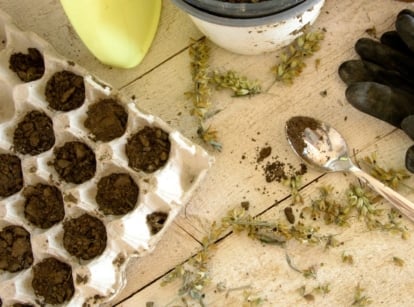 An overhead and close-up shot of a composition of various tools and equipment for a diy seed starting station budget