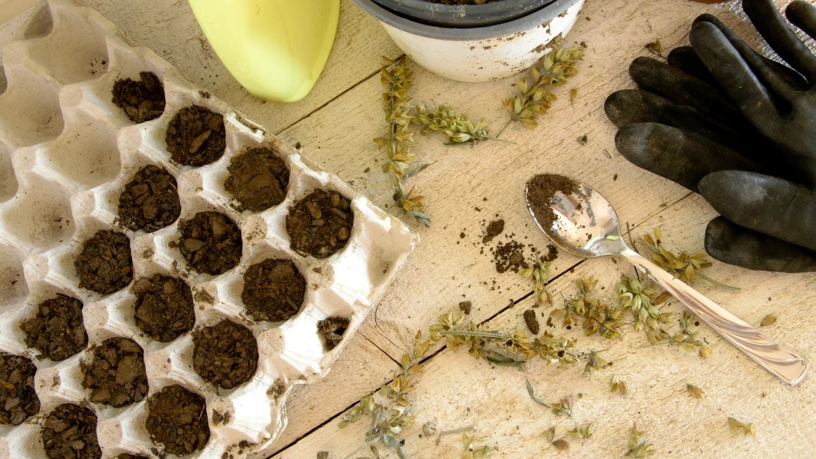 An overhead and close-up shot of a composition of various tools and equipment 