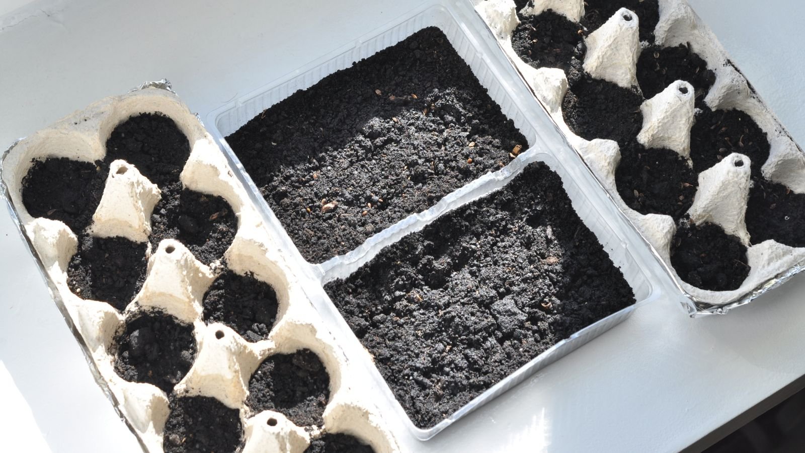 An overhead and close-up shot of various makeshift containers for planting filled with soil, all situated in a well lit area indoors
