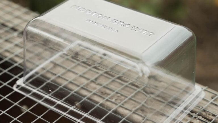How to Use Humidity Domes to Speed Up Seed Germination