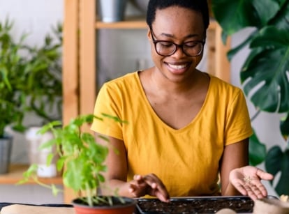 Knowing what plant february zone , considering the cold weather showing a woman starting seeds indoors with abundant bright light