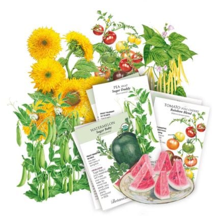 My First Garden Seed Bundle