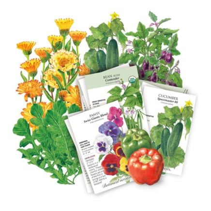 The Container Collection Seed Bundle