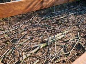 A close-up and overhead shot of a small composition of wood, placed on top of rich soil on a large planter, showcasing winter branches raised beds
