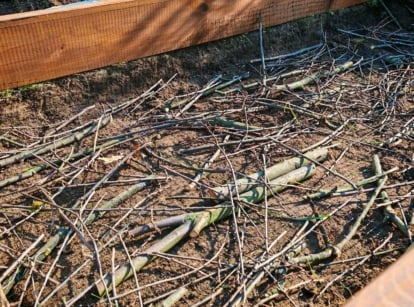 A close-up and overhead shot of a small composition of wood, placed on top of rich soil on a large planter, showcasing winter branches raised beds