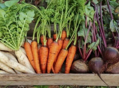 A close-up and overhead shot of a wooden crate filled with freshly harvested crops, showcasing which vegetable seeds outside february