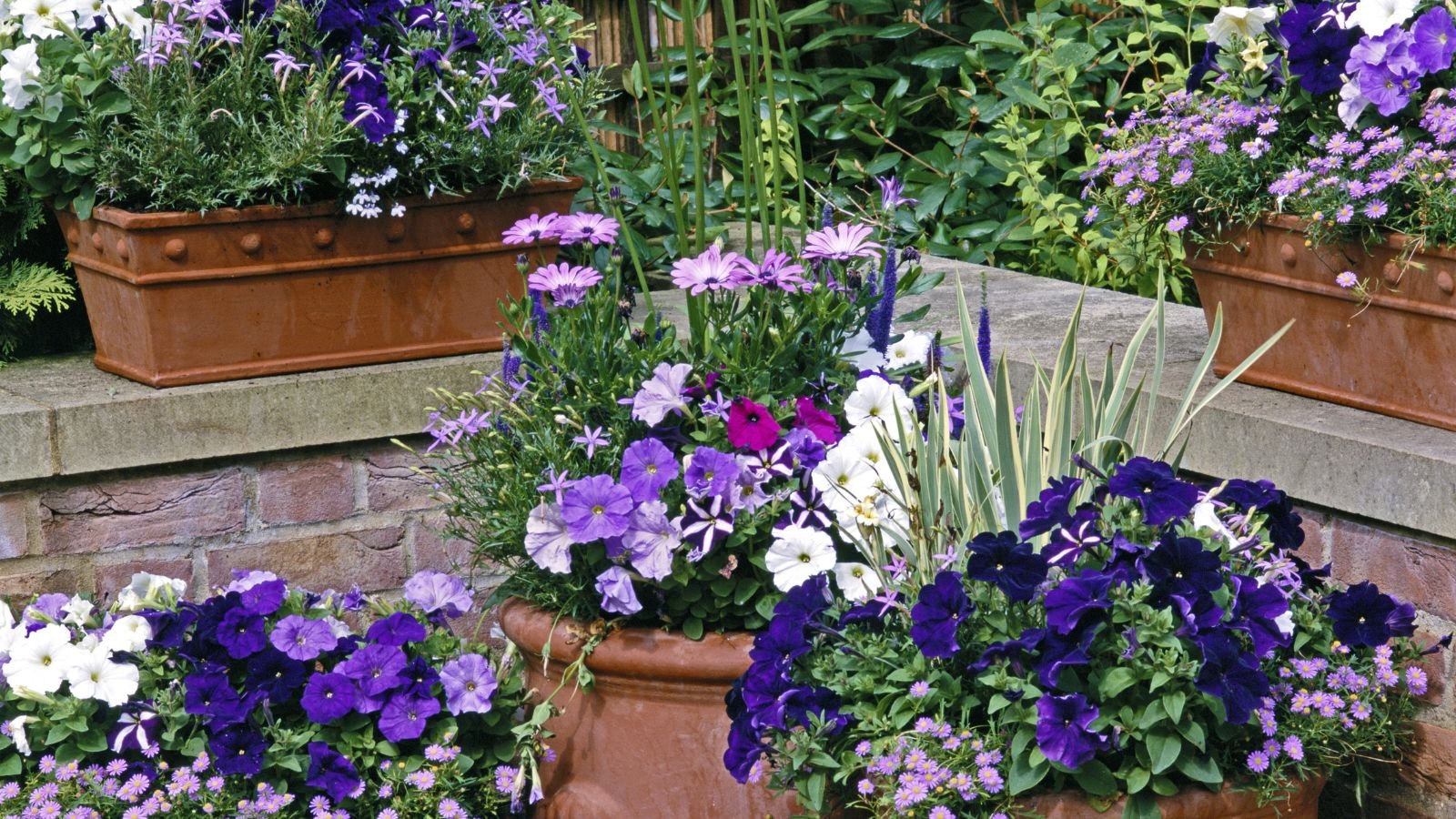A close-up shot of a composition of various flowers, placed on various planters in varying levels of height, all situated in a well lit area outdoors