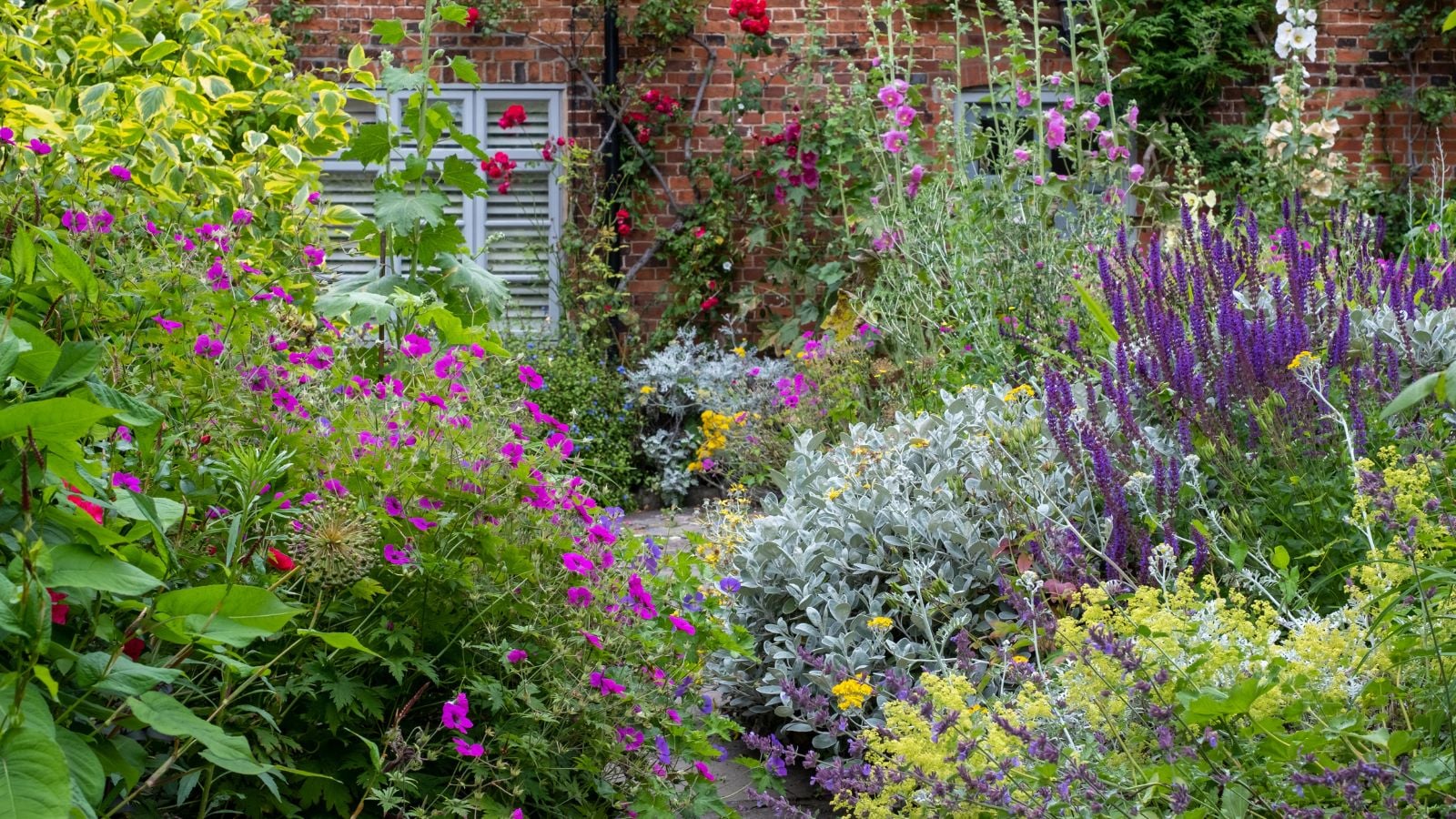 A close-up shot of a large and lush composition of various flowers and plants, all growing on either sides of a pathway, with a brick house in the background