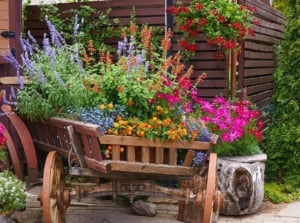 A close-up shot of a makeshift container made from a wagon and other small planters, all filled with various plants and flowers, showcasing cottage garden pots