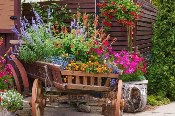 A close-up shot of a makeshift container made from a wagon and other small planters, all filled with various plants and flowers, showcasing cottage garden pots