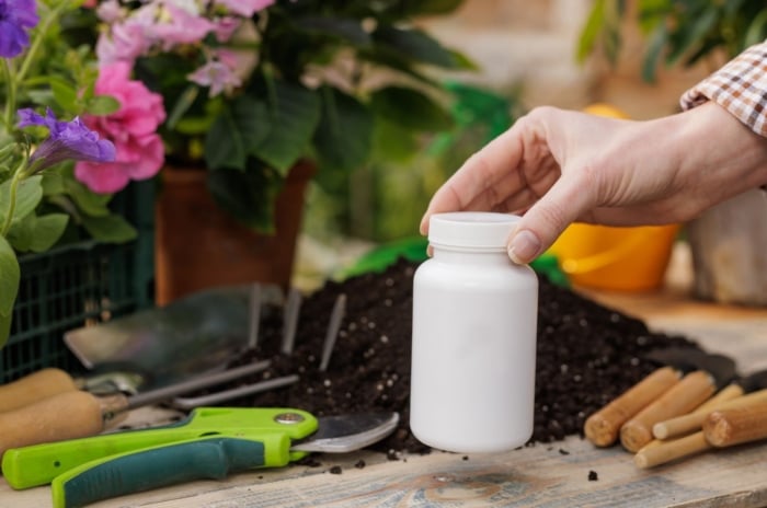 A close-up shot of a person placing a white bottle of liquid plant food, alongside other gardening tools and developing flowers, showcasing burn seedlings fertilizer