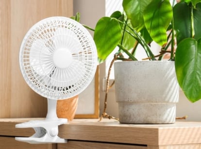 A close-up shot of a small clip-on ventilator, placed beside a potted houseplant indoors, showcasing fan seedlings