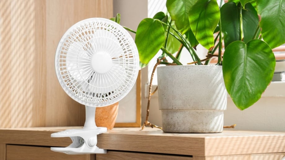 A close-up shot of a small clip-on ventilator, placed beside a potted houseplant indoors, showcasing fan seedlings