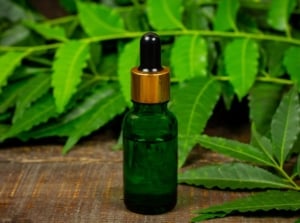 A close-up shot of a small green colored vial filled with liquid, placed on a wooden surface alongside leaves of a plant, showcasing neem oil hurt plants