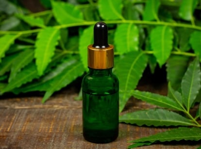 A close-up shot of a small green colored vial filled with liquid, placed on a wooden surface alongside leaves of a plant, showcasing neem oil hurt plants