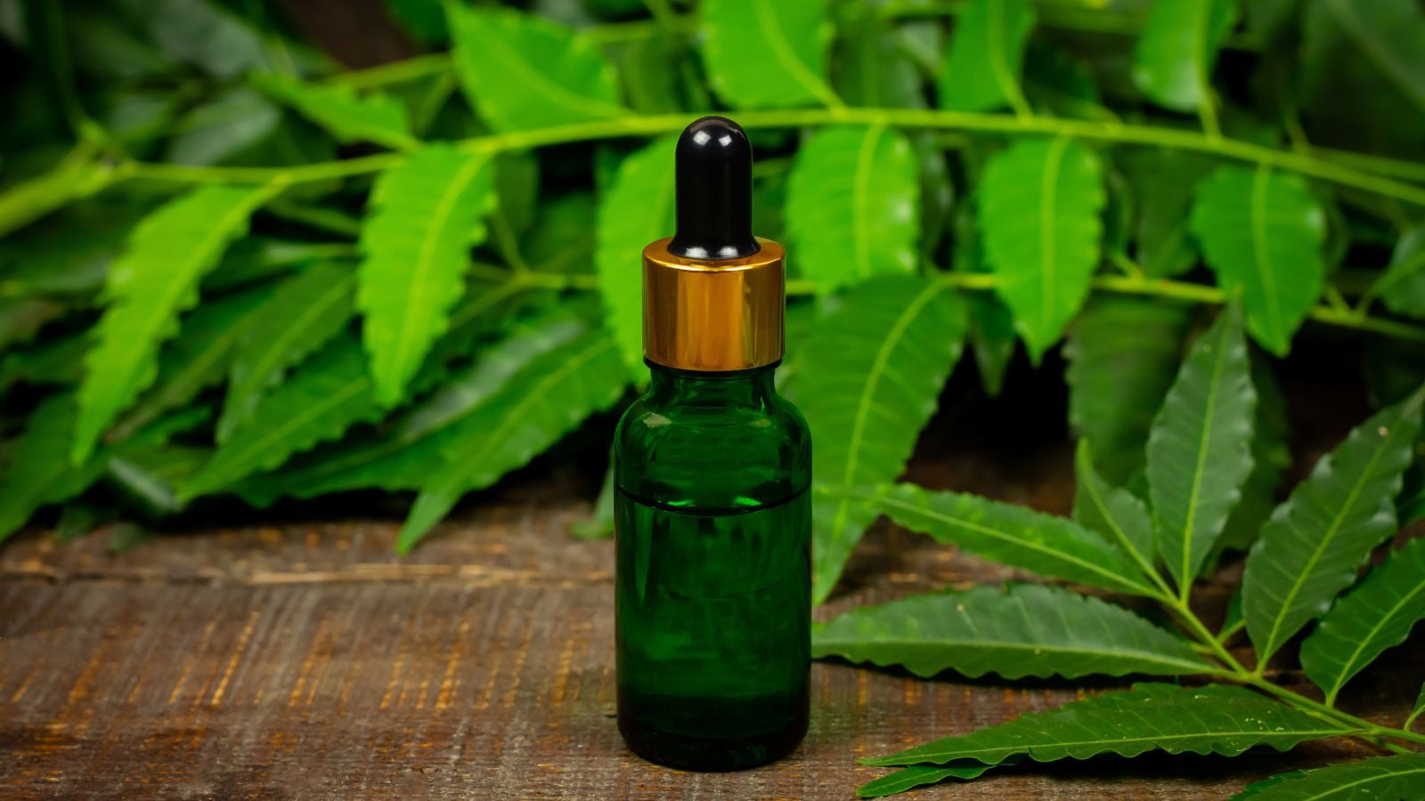 A close-up shot of a small green colored vial filled with liquid, placed on a wooden surface alongside leaves of a plant, showcasing neem oil hurt plants