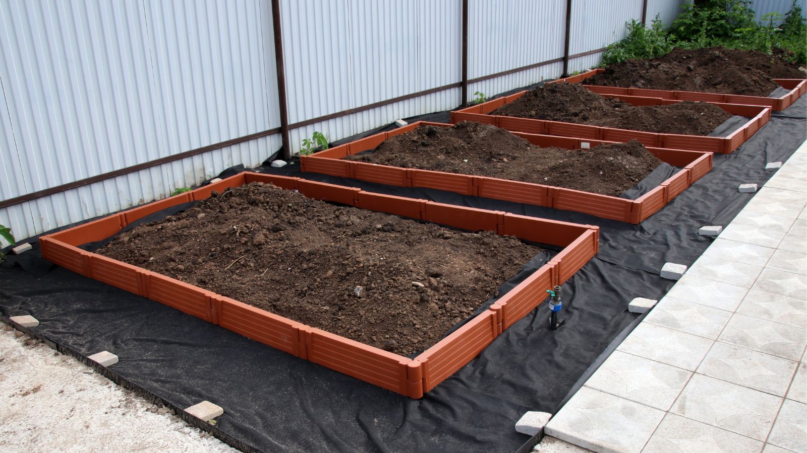 A shot of a small group of large planters, placed on top of a landscape fabric, all situated in a backyard garden area outdoors