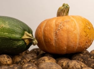 Crops that produce hardest vegetables seed to grow, including pumpkins and potatoes, placed somewhere with moderate light