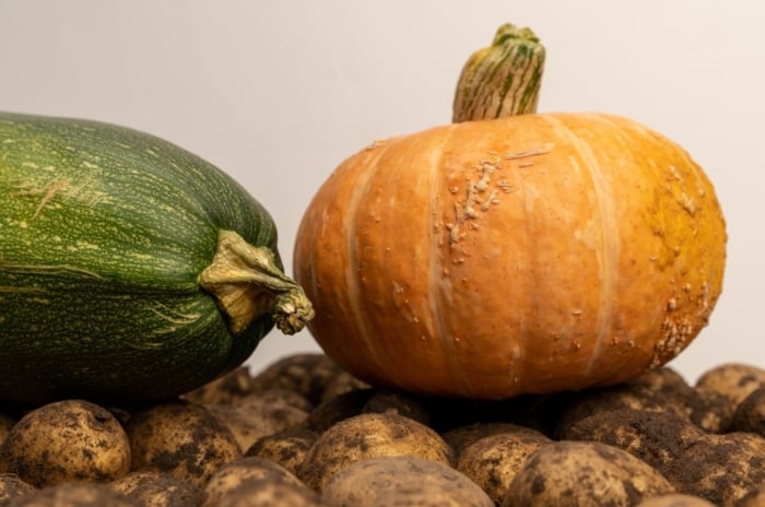 Crops that produce hardest vegetables seed to grow, including pumpkins and potatoes, placed somewhere with moderate light