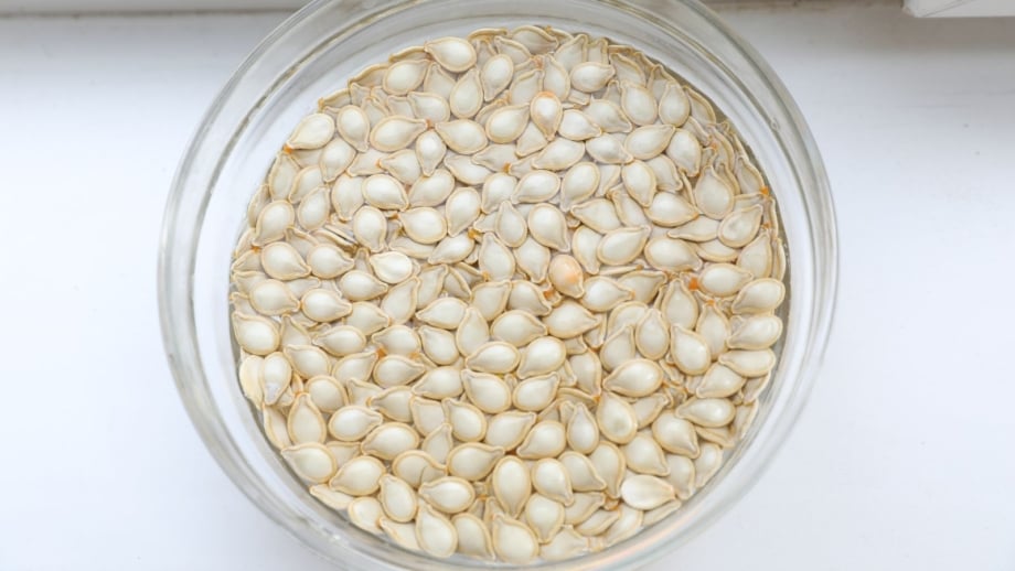 A transparent dish filled with water and seeds, showing how long soak seeds