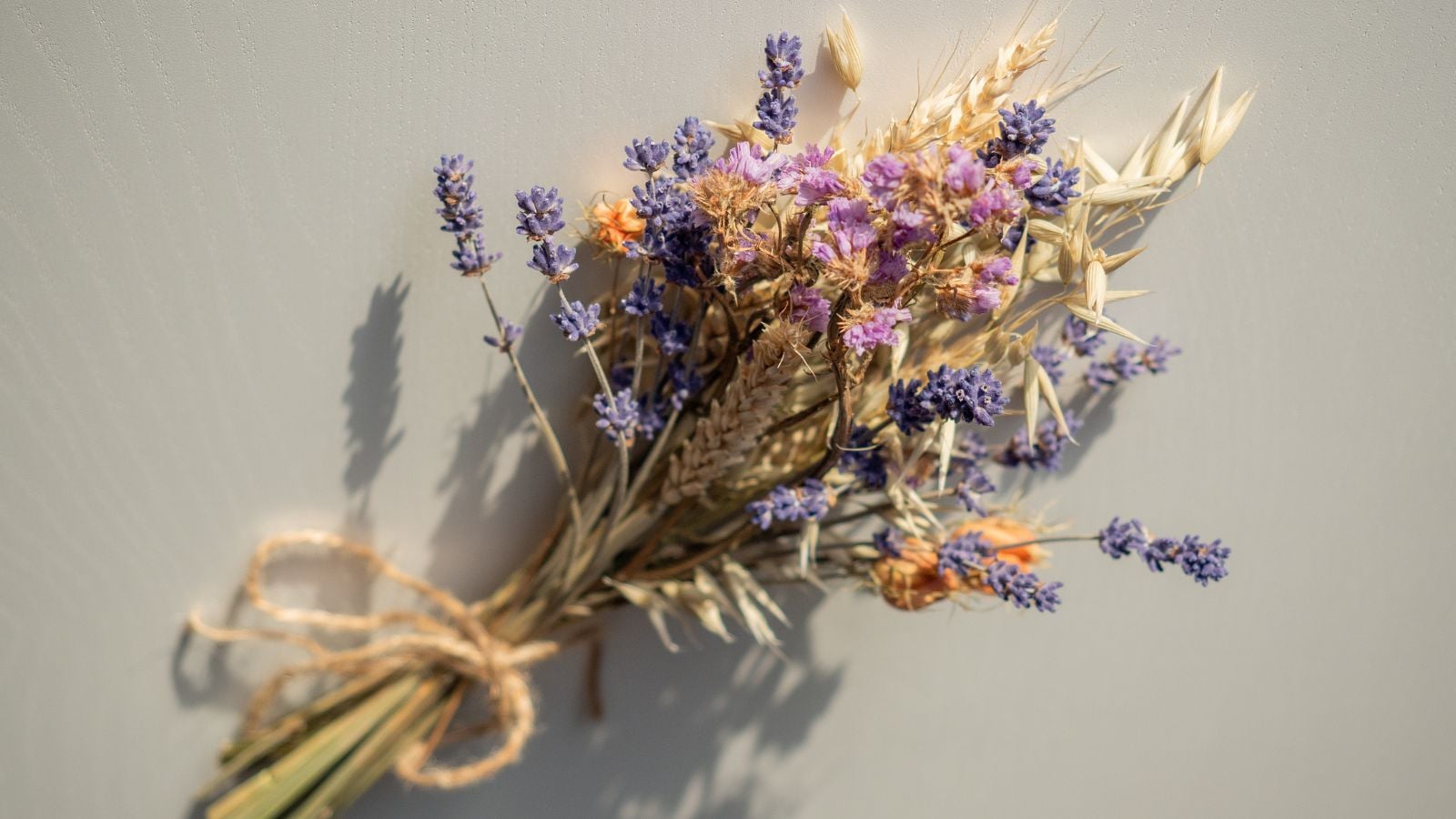 A close-up and overhead shot of an arrangement of fresh and dried blossoms, all placed on top of a white surface indoors