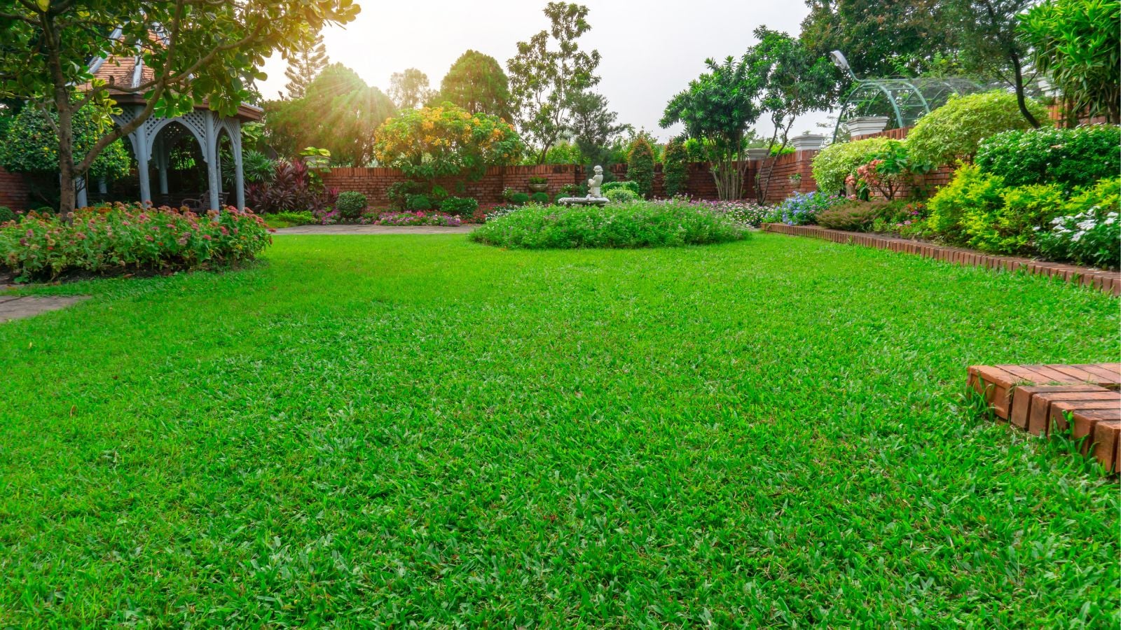 A close-up shot of a large yard area with various developing bushes and other flowering foliage in semi-landscaped areas
