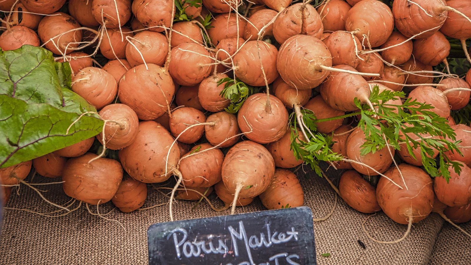 A pile of many Daucus carota subsp. sativus pieces placed on top of one another with a black sign up front appearing to be sold 