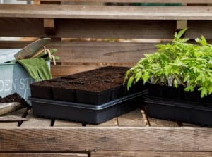 Tools and supplies to start spring garden from scratch, including a tray of seedlings and other equipment laid on a wooden surface