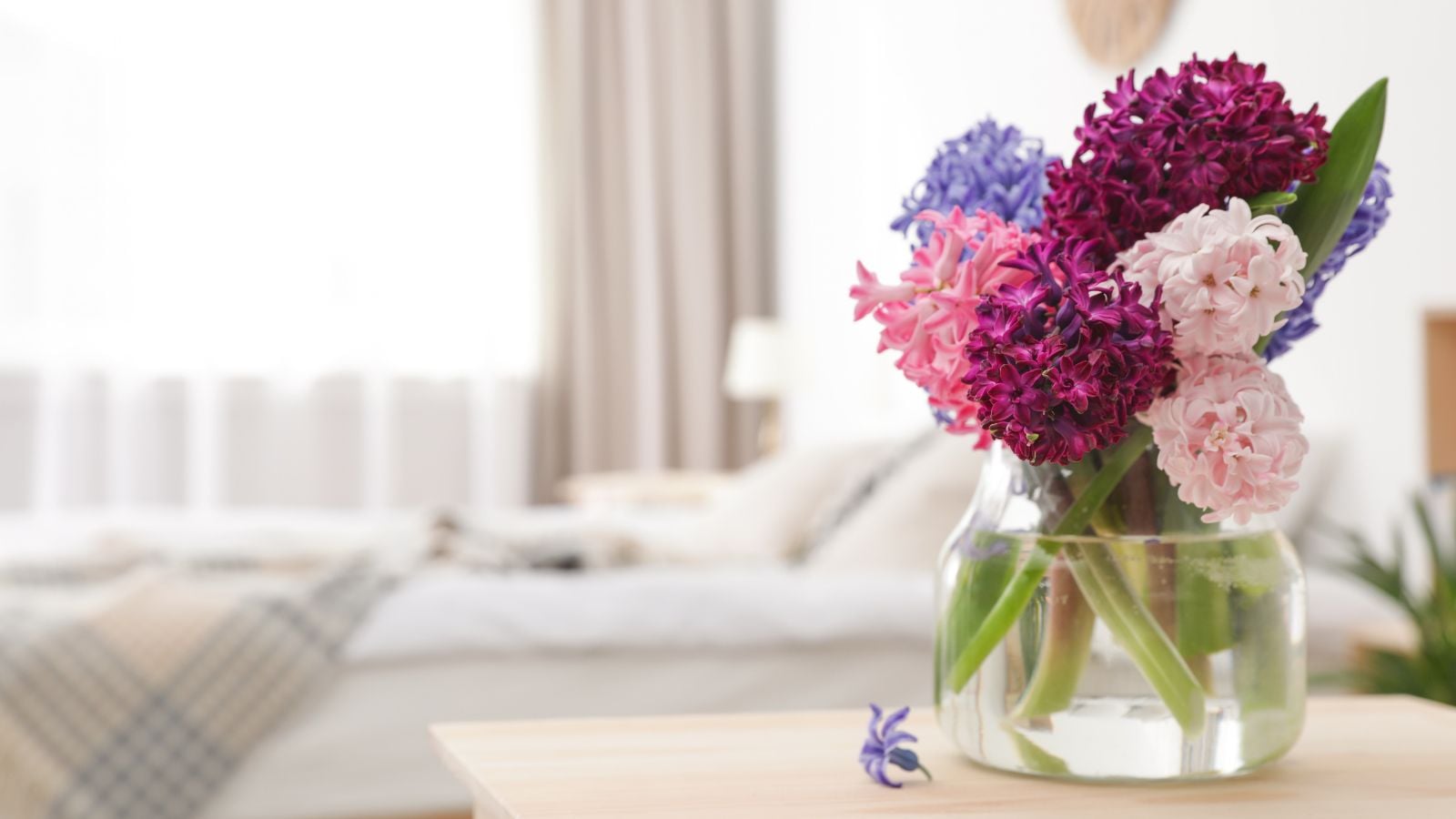 A bundle of recut stems of a lovely blooming plant, placed inside a clear vase containing clean water