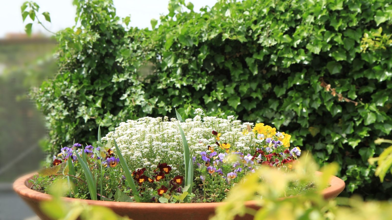 Spring Planted Containers 7 Spring Container Combinations That Look Planted By a Pro