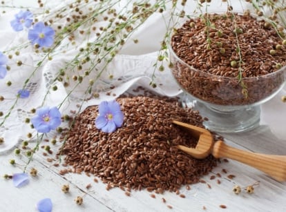 A close-up shot of a pile and a container of brown colored ovule, beside blue flowers on thin stems, showcasing how to grow flaxseeds