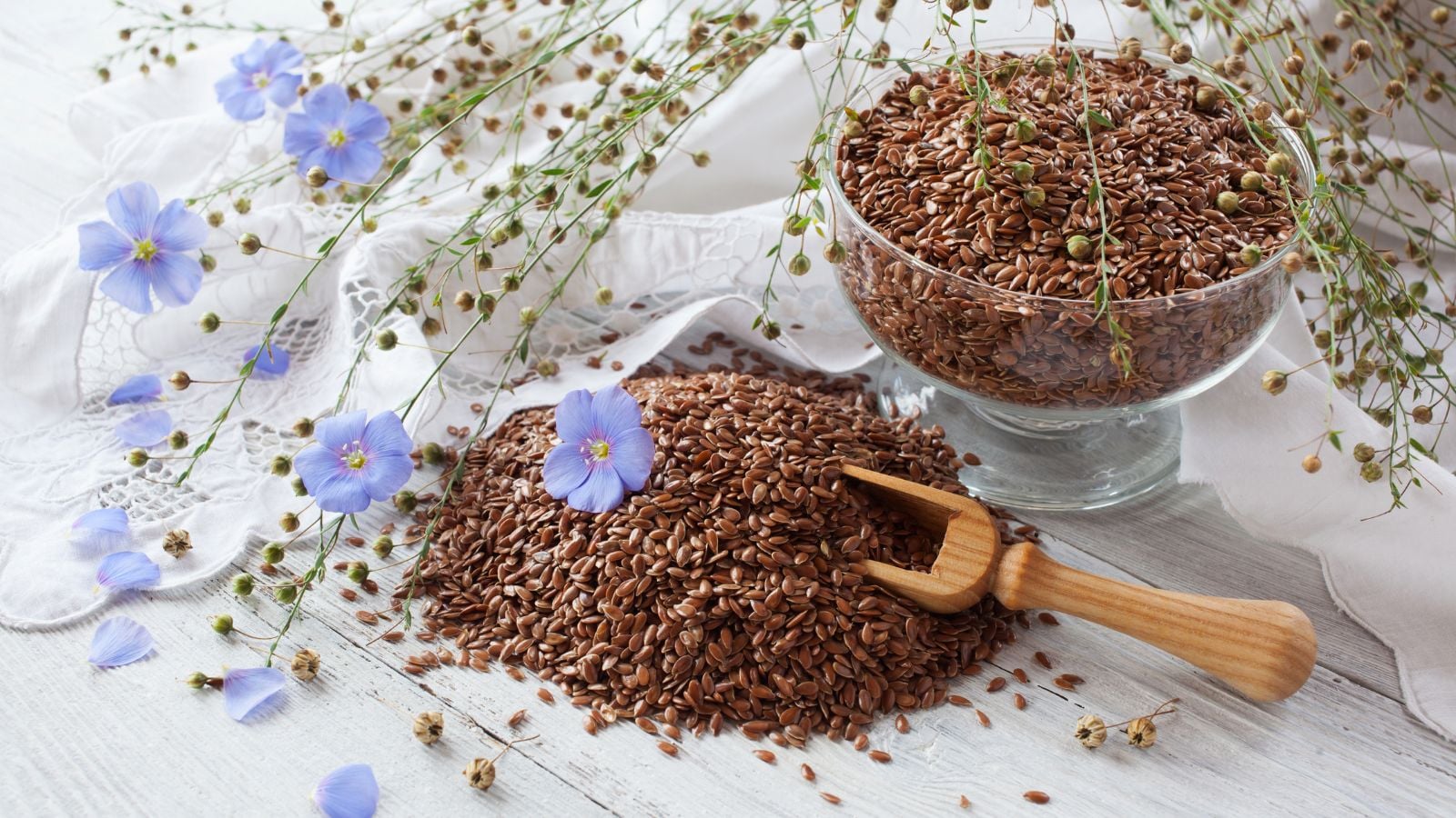 A close-up shot of a pile and a container of brown colored ovule, beside blue flowers on thin stems, showcasing how to grow flaxseeds