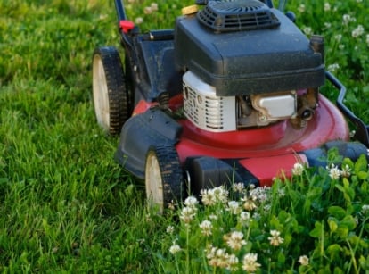 A close-up shot of a turned off red, colored mower beside flowering weeds, showcasing no mow May