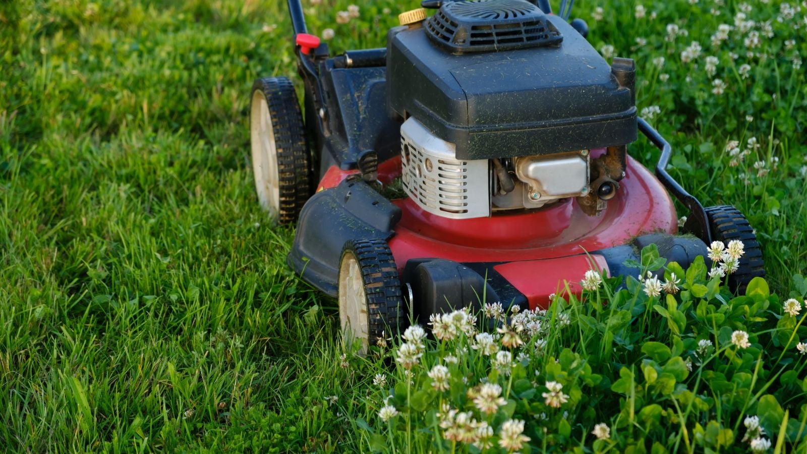 A close-up shot of a turned off red, colored mower beside flowering weeds, showcasing no mow May