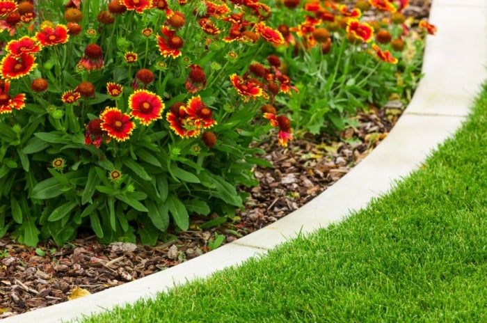 A close-up shot of a composition of vibrant orange-red colored flowers beside a paver border, showcasing easy garden edging