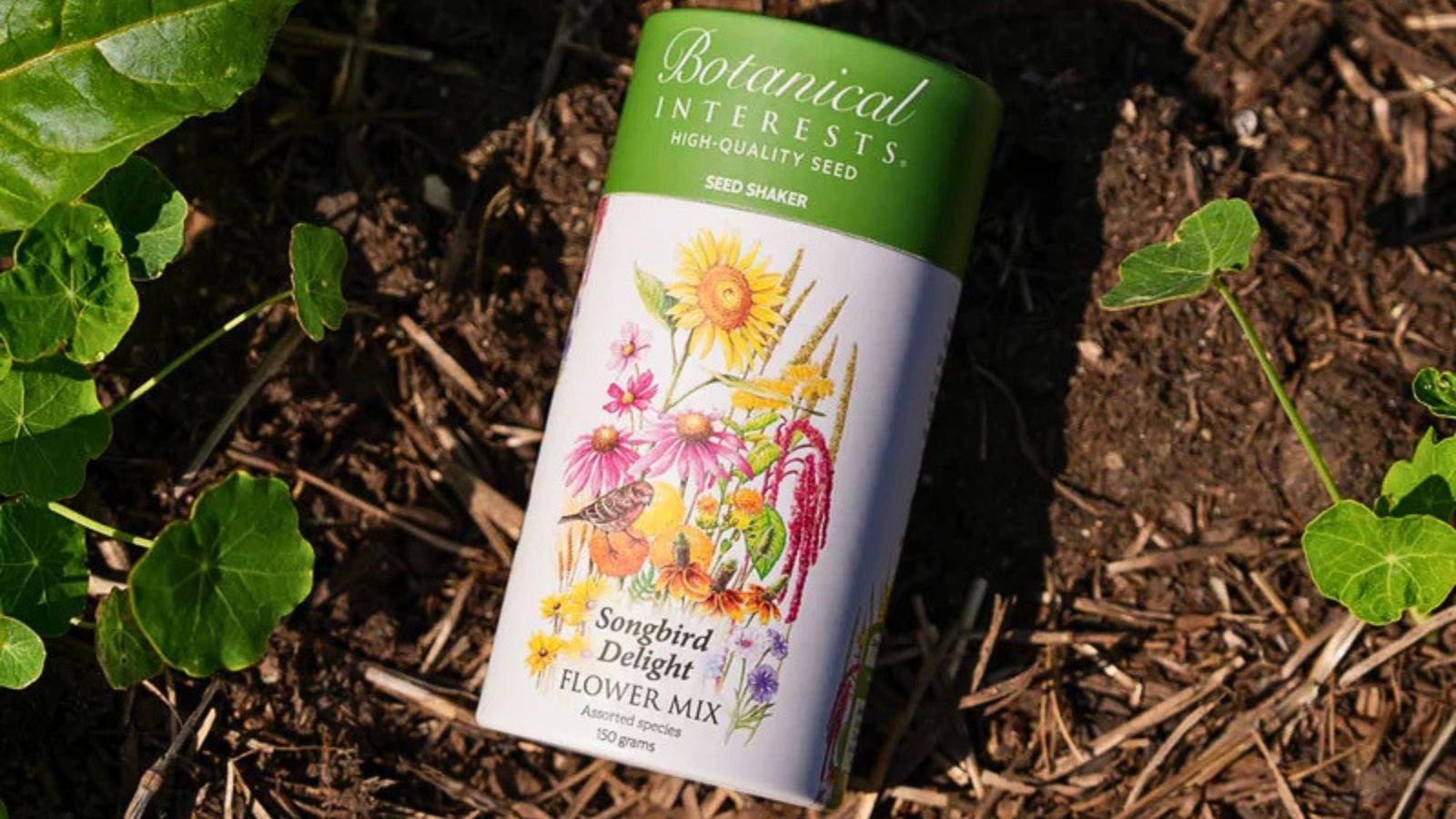 A close-up and overhead shot of a single seed shaker placed on top rich brown soil alongside developing plants outdoors