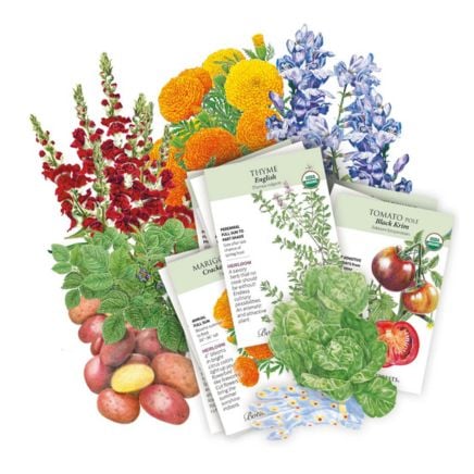 Intermountain Seed Bundle