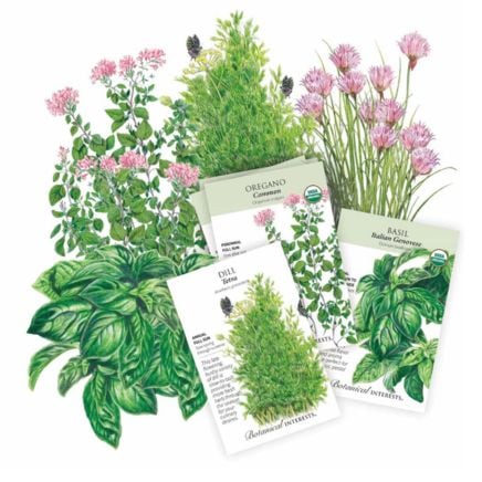Lazy Herb Garden