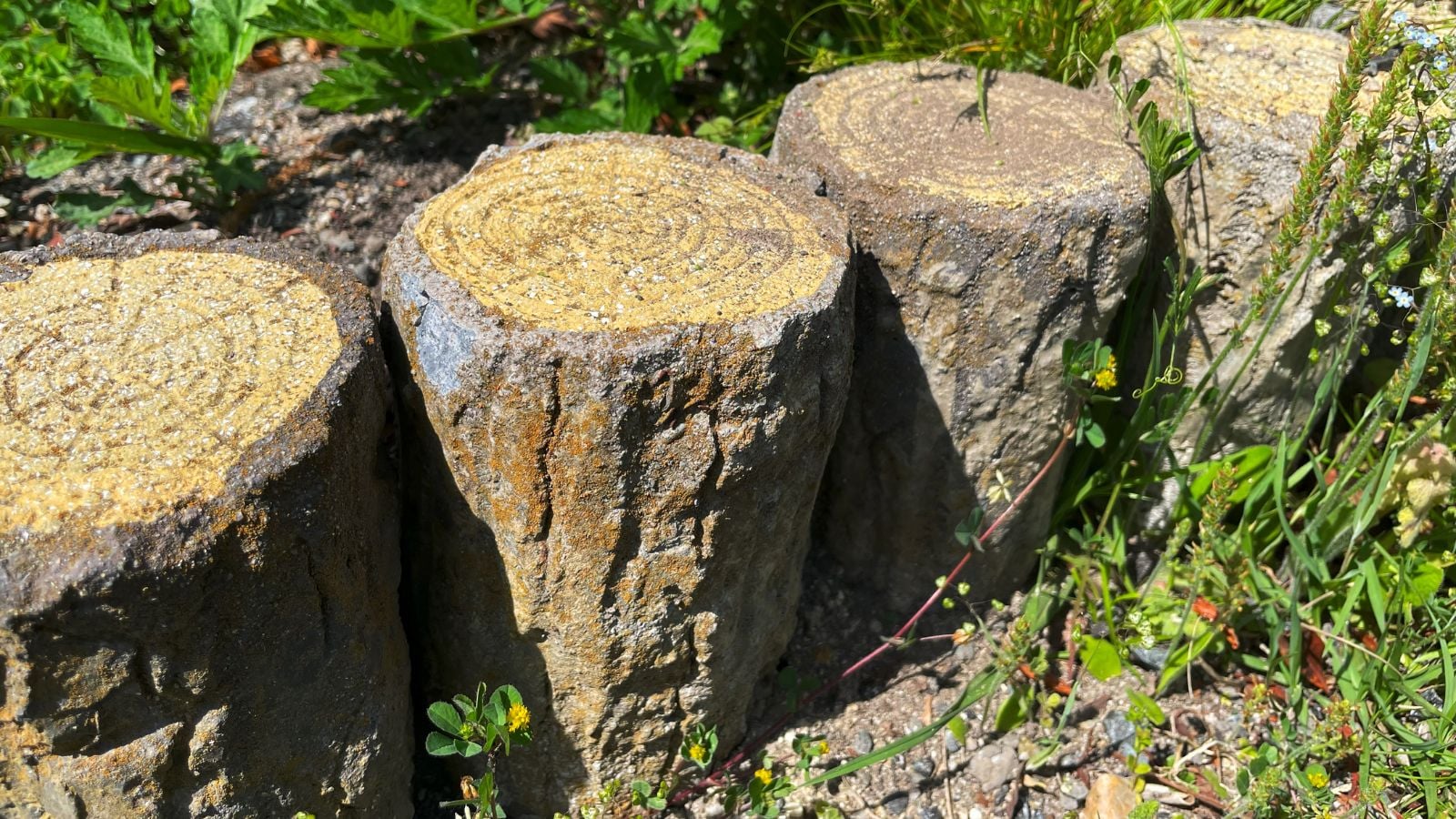 A close-up shot of a row of upright, and cut logs, acting as a border between two separate yard areas