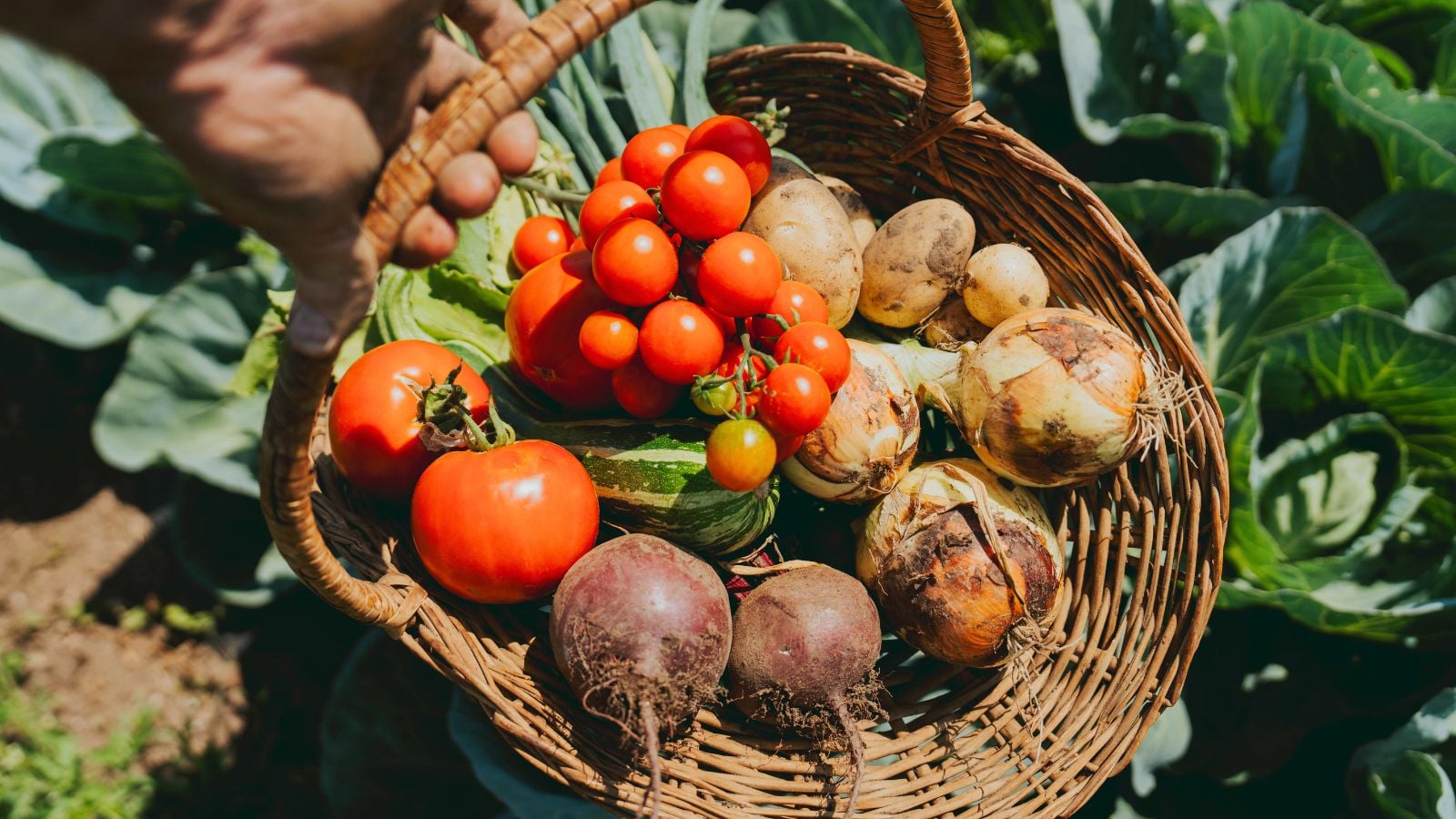 A close-up and overhead shot of a basket full of freshly harvested crops all from a subsistence garden
