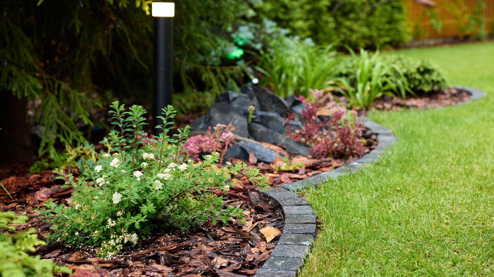 A close-up shot of developing plants and flowers placed near a paver border separating them from a large lawn area outdoors
