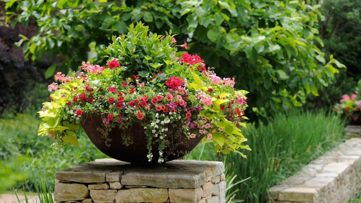 Spring Planted Containers 7 Spring Container Combinations That Look Planted By a Pro