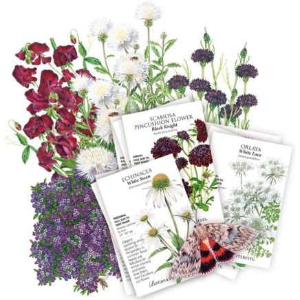 The Goth Garden Bundle
