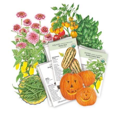 Warm Season Garden Seed Bundle