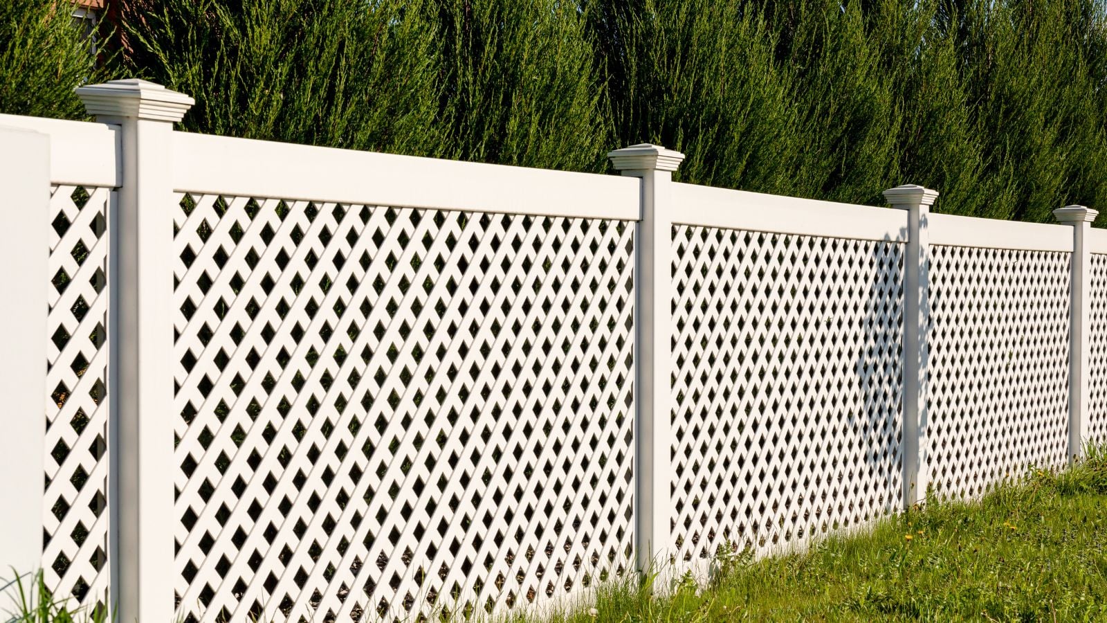 A close-up shot of a tall white colored garden fence, placed alongside trees and shrub, all situated in a yard area outdoors