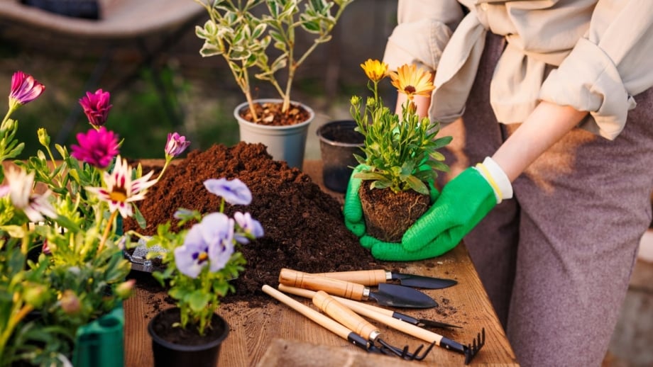 Does Your Gardening Zone Even Matter? Does Your Gardening Zone Even Matter?