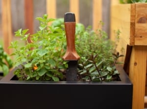 A close-up shot of a single, upright hori hori knife, placed on a container fileld with soil and plants, showcasing Japanese gardening tools