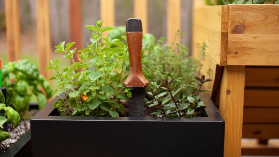 5 Japanese Gardening Tools That Will Make Your Life Easier 5 Japanese Gardening Tools That Will Make Your Life Easier